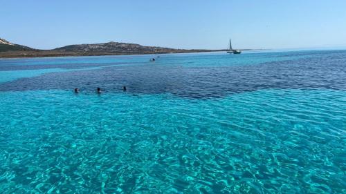 Acque cristalline dell'isola dell'Asinara nel nord-ovest della Sardegna