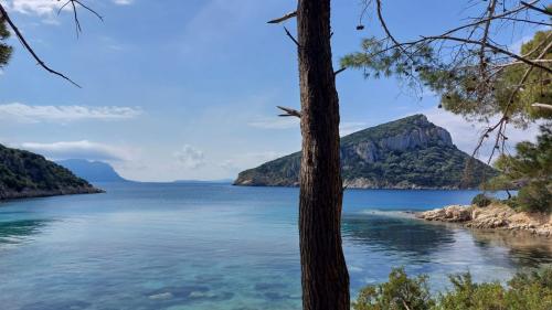 Naturaleza y aguas cristalinas de Cala Moresca en Golfo Aranci