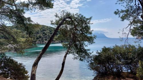 Naturaleza virgen de Cala Moresca, cerca de Olbia
