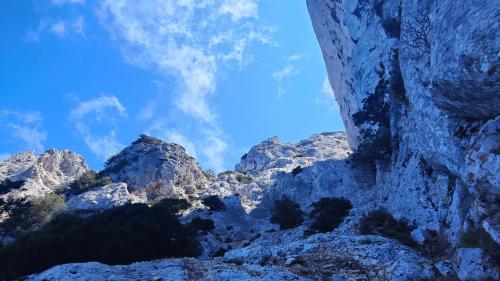 Rocas de la isla de Tavolara en la ruta de senderismo