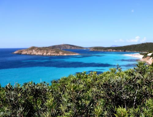 Chia spiaggia di Cala Cipolla e Su Giudeu