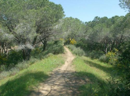 Naturaleza y caminos