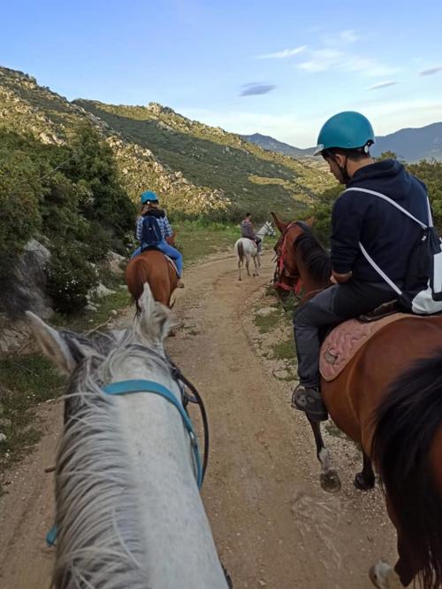 Excursionistas a caballo en un camino en Orosei