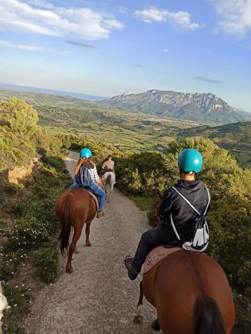 Excursionistas a caballo