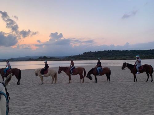 Horseback riding at sunset