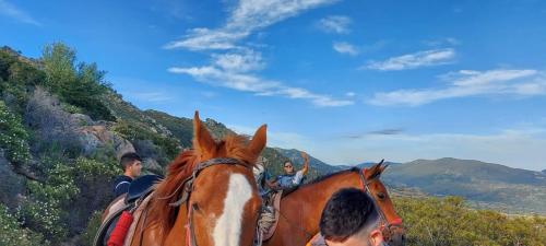 Boys with horses