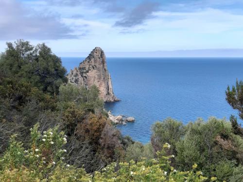 view of Pedralonga - Santa Maria Navarrese Mediterranean maquis of Ogliastra