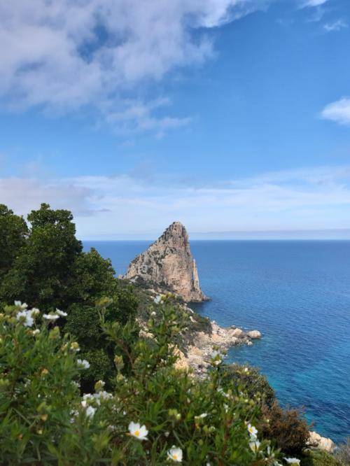 panorama de Pedralonga - Santa Maria Navarrese maquis mediterráneo de Ogliastra