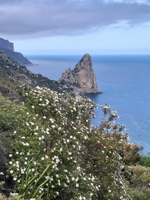 Panorama von Pedralonga - Santa Maria Navarrese Mediterrane Macchia der Ogliastra