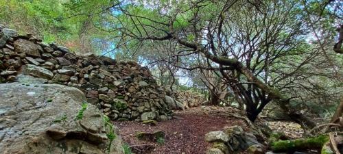 Sette Fratelli forest trail in Sinnai