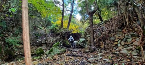 Randonneur sur le sentier forestier de Sette Fratelli à Sinnai