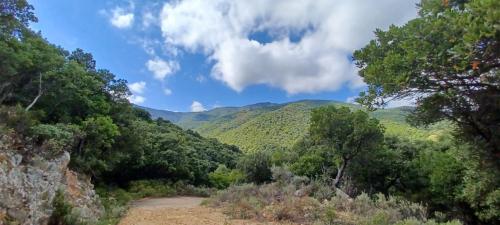 Sendero forestal Sette Fratelli en Sinnai