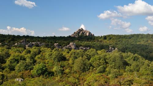 Wald der sieben Brüder in Sinnai