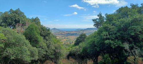 vista panoramica foresta dei Sette Fratelli a Sinnai