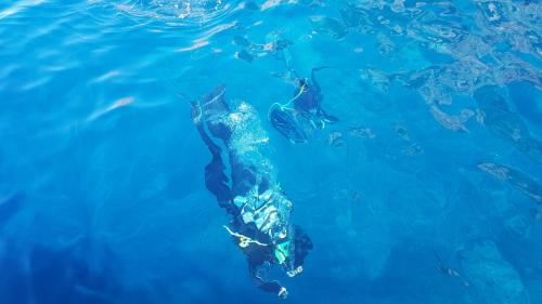 Inmersiones en grupo en la zona marina protegida de Capo Caccia para practicar snorkel