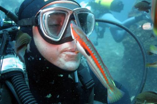 Boy with fish during snorkeling excursion with fish
