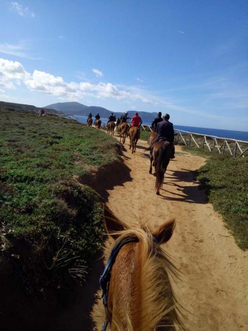 Hikers during horse riding experience