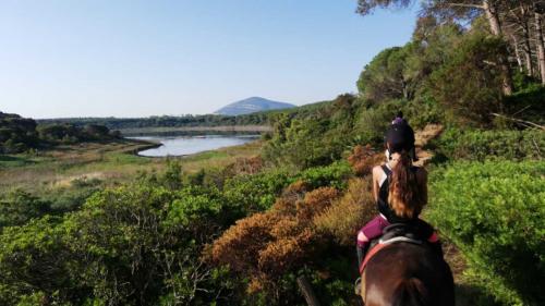 Balade à cheval dans la nature