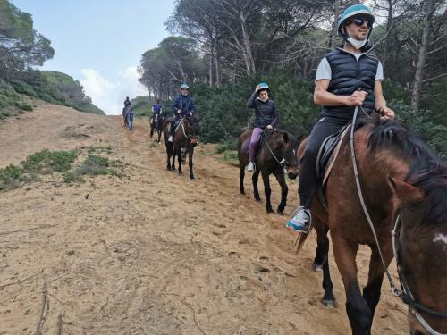 Group of hikers on horseback