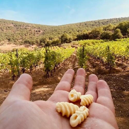 <p>Typical Sardinian pasta prepared during cooking workshop in a vineyard</p><p><br></p>