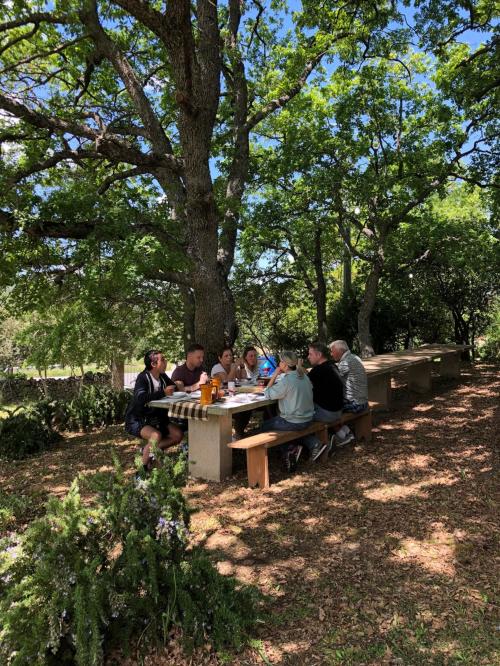 <p>Typical Sardinian lunch in the shade of a vineyard in Mamoiada</p><p><br></p>