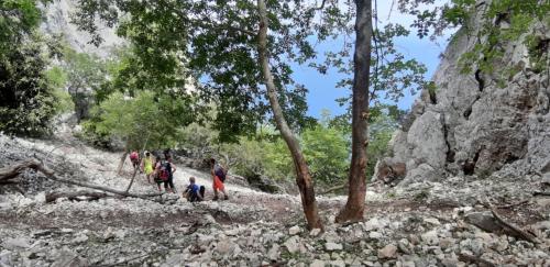 Trekkingroute oder Pfad mit Blick auf den Strand Cala Mariolu im Wald von Dorgali