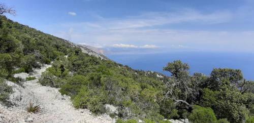 path or trekking path to the beach of Cala Mariolu