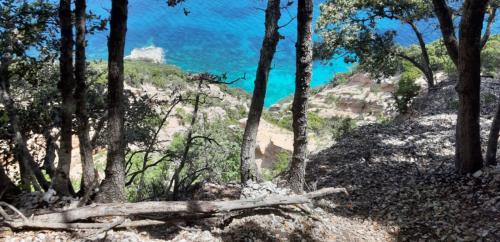 Trekkingroute oder Spaziergang mit Blick auf das kristallklare Wasser des Strandes Cala Mariolu