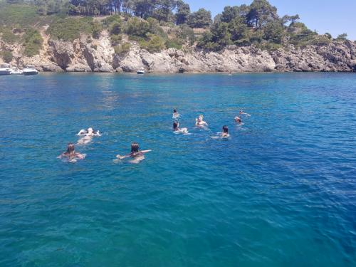 Freunde beim Schwimmen in den klaren Gewässern von Alghero