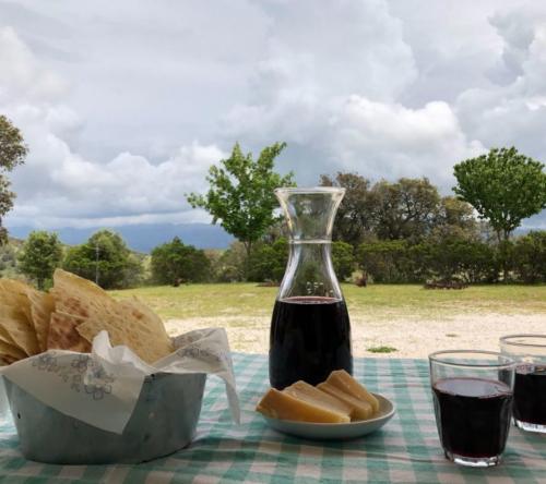 Typisch sardisches Mittagessen mit lokalen Produkten