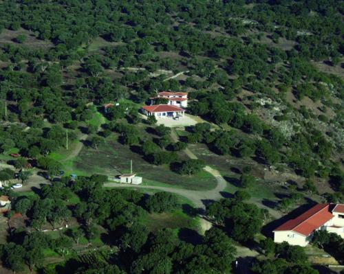 Azienda a Bitti immersa nel verde