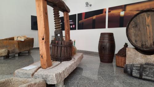Herramientas expuestas en el museo del vino de Berchidda