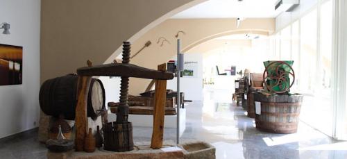 Wine museum with useful tools for grape maceration