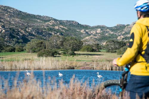 Oasi di Biderosa nel territorio di Orosei e escursionista in bici