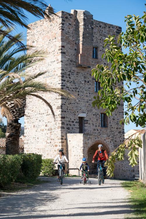 <p>Excursionistas en bicicleta durante una visita guiada</p><p><br></p><p><br></p>