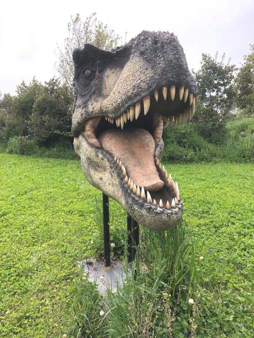 Tirannosauro al BittiRex