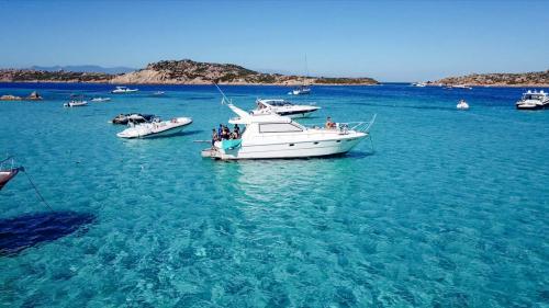 Barca a motore nell'Arcipelago di La Maddalena