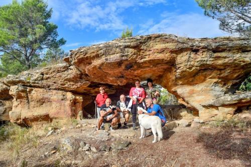 Group of hikers and dog