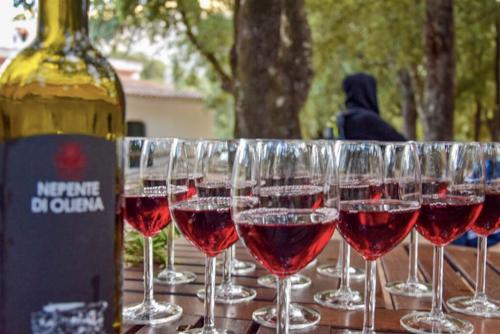 <p>Wine aperitif at the end of a trekking excursion in Tiscali</p><p><br></p>
