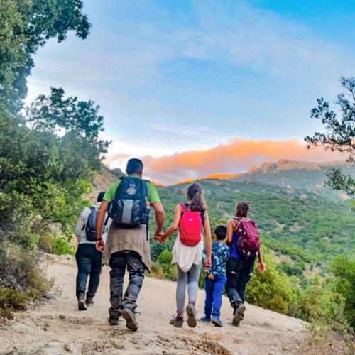 Guided trekking excursion