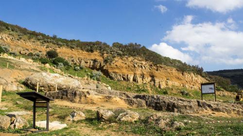 Surrounding nature in Giara Park
