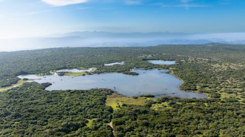 Lake near the Cavallino and Giara Museum