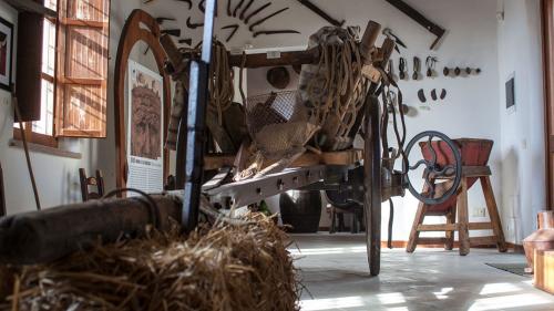 Inside the Museum in Genoni