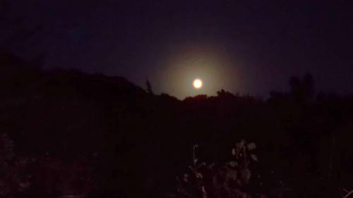 Der Mond leuchtet am Himmel während einer Nachtwanderung im Wald der Sieben Brüder