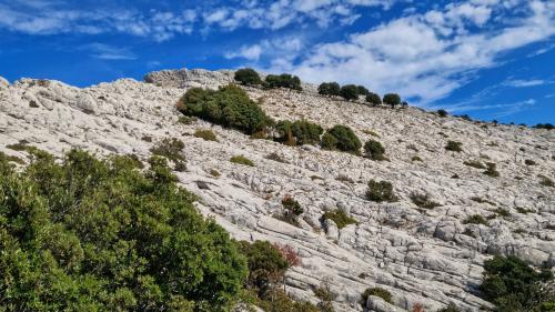 Trekking route in Montalbo