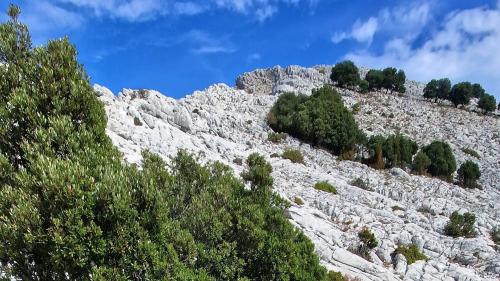 Trekking route in Montalbo