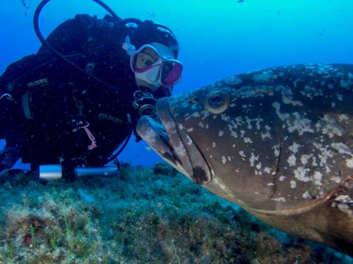 Wanderer mit Fisch