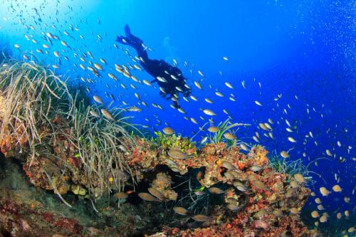 Wanderer bei Ausflug und Taufe des Meeres mit Fischen