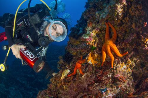 Estrella de mar con excursionista durante la excursión con bautismo del mar en Bosa