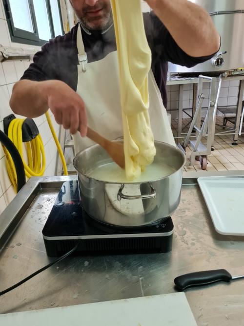 Lavorazione del formaggio in un'azienda pastorale a Bitti
